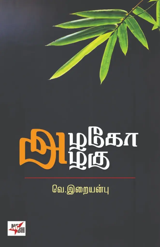 அழகோ அழகு